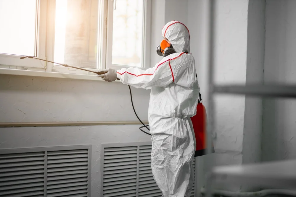 Professional mold remediation services in Franklin, NH